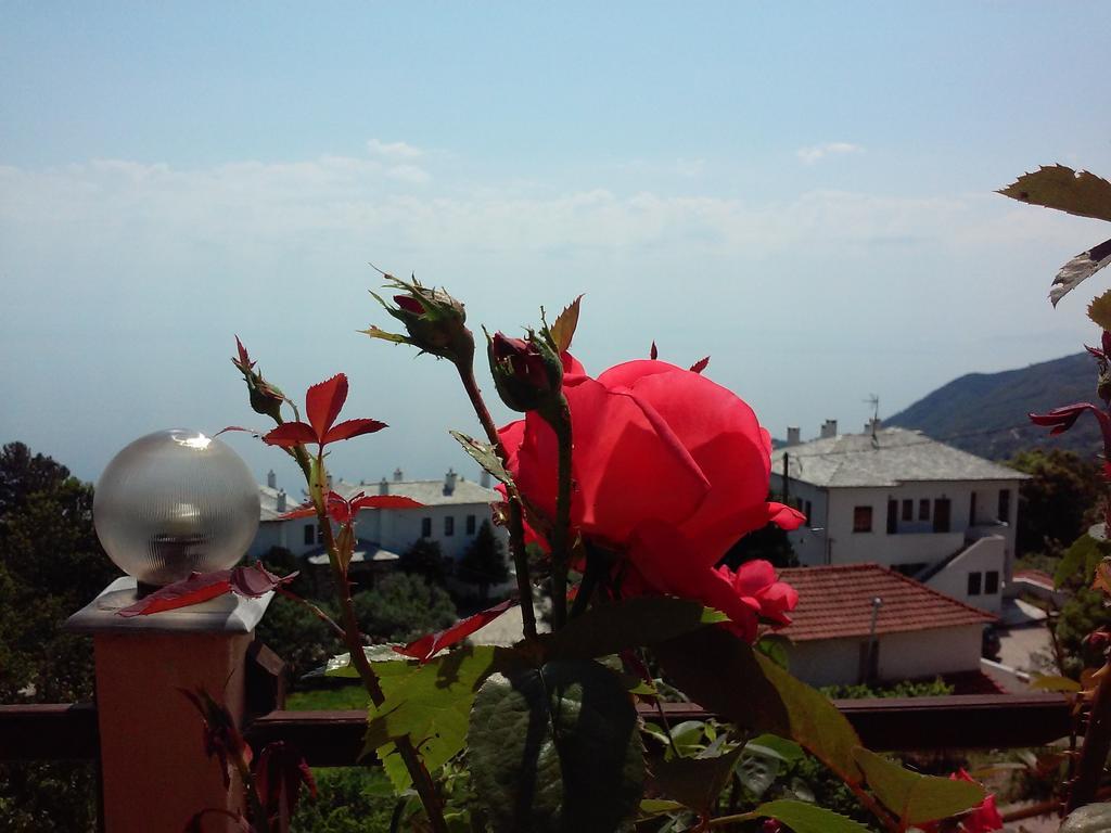 Alkmini Hotel Agios Dimitrios  Ngoại thất bức ảnh